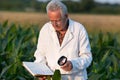 Old man agronomist in corn field Royalty Free Stock Photo