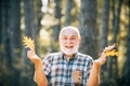 Old man alone in autumn park. Autumn and active holidays. Happy senior man looking at camera. Senior man strolling in a Royalty Free Stock Photo