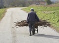 Old Man Carrying Firewood Royalty Free Stock Photo