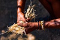 An old man with distinctive hands collects straw in Namibia to make a fire in the traditional way