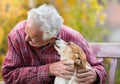 Old man with dog on bench in park Royalty Free Stock Photo