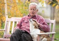 Old man with dog on bench in park Royalty Free Stock Photo