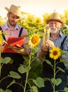 Old man farmer sunflower oil concept agriculture