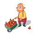 Old man with a garden cart full of red apples