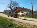 Drohobych, Ukraine - April 14, 2018: Old man going by retro wooden cart on the dirt road, white horse pulls a cart, village life
