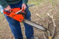 Old man holding orange chainsaw with his bare hands and cutting a branch placed on the ground. Orange chainsaw in action