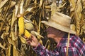 Old man last check before harvest