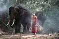 Old man mahout Raising elephants in the forest