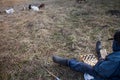 An old man in messy clothes sits on a hill playing chess, grazing a flock of his own goats against the backdrop of a withered Royalty Free Stock Photo