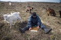 An old man in messy clothes sits on a hill playing chess, grazing a flock of his own goats against the backdrop of a withered Royalty Free Stock Photo