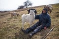 An old man in messy clothes is sitting on a hill and herding a flock of his own goats against the backdrop of withered nature Royalty Free Stock Photo