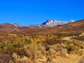 Old Man of the Mountains Located in the Ruby Mountains of Nevada Royalty Free Stock Photo