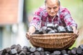 Old man picking up a basket full of coal briquettes from a pile in the backyard Royalty Free Stock Photo