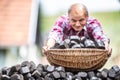 Old man picking up a basket full of coal briquettes from a pile in the backyard Royalty Free Stock Photo