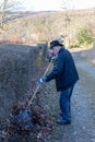 Old man raking fallen leaves in the garden, senior man gardening