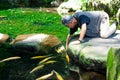 Old man reaching down to pet koi fish in a pond Royalty Free Stock Photo