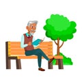 Old Man Reading Book On Park Bench Outdoor Vector