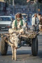 Old man riding donkey cart