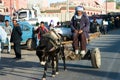 An old man riding donkey in Morocco