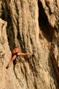 Old man rock climber without a net hanging in the cliff with his hands. Rai Leh or Railay, Phra Nang Beach, Krabi, Thailand. Sport