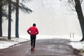 Old man runner runs in the Park of Monza