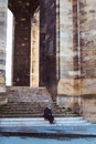 Old man sat on steps of Fleche Saint Michel, Bordeaux