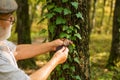 Old man scientist. Bearded grandfather in forest. Curiosity to botany. Picky detective in forest. Explore nature