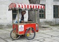 Old man selling baked sweet chestnuts, raw Royalty Free Stock Photo