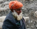 Old man with sheeps on mountain road in Kargil, India