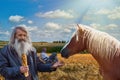 An old man with a silver beard feeds pigeons and a horse with bread in hand. Royalty Free Stock Photo