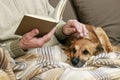 Old man sitting on the sofa with his lovely dog and book Royalty Free Stock Photo