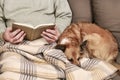 Old man sitting on the sofa with his lovely dog and book Royalty Free Stock Photo