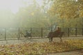 Old man sitting on a wooden bench with a bike near it in a park full of autumn leaves Royalty Free Stock Photo