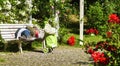 Old man with tattered clothes sleeps in bright sunlight on white bench in rose garden