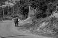 Old man walking alone along the road