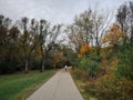 Old man walking his way in autumn fall park among tall trees. View from back. End of life, old age, loneliness concept. Beautiful Royalty Free Stock Photo