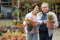 Old man and woman customers inspecting potted bushes while buying plants for their garden in market Royalty Free Stock Photo