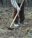 Old man work with hoe praparing Royalty Free Stock Photo