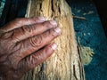 old man hand touches a piece of broken wood Royalty Free Stock Photo