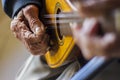 The old Mandolin Player color Royalty Free Stock Photo