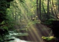 Old Mans Cave Creek in Hocking Hills Royalty Free Stock Photo