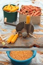 Old manual corn shucker, stripping and shelling of corn cobs Royalty Free Stock Photo