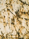 Old Marble Royalty Free Stock Photo