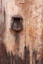 Old massive door, close-up Royalty Free Stock Photo