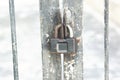 Old master key locked on iron gate, Steel padlock, Close up selective focus. Royalty Free Stock Photo