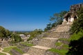 Old Mayan piramide, Palenque, Mexico