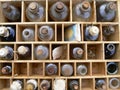 Old Medicine Bottles in a Box Royalty Free Stock Photo