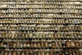 Old medicine in jars and bottles arranged on shelves on an exibition in UNESCO World Heritage Zollverein Coal Mine in Essen