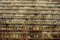 Old medicine in jars and bottles arranged on shelves on an exibition in UNESCO World Heritage Zollverein Coal Mine in Essen