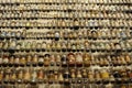 Old medicine in jars and bottles arranged on shelves on an exibition in UNESCO World Heritage Zollverein Coal Mine in Essen